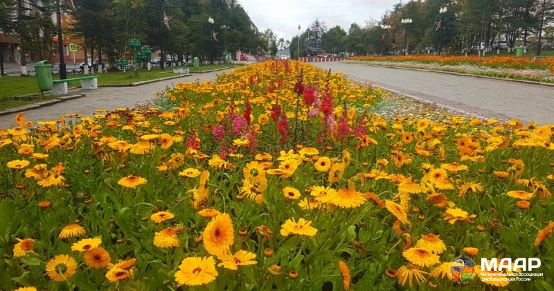 Архангельские азербайджанцы оказали помощь в обновлении вазонов для цветов