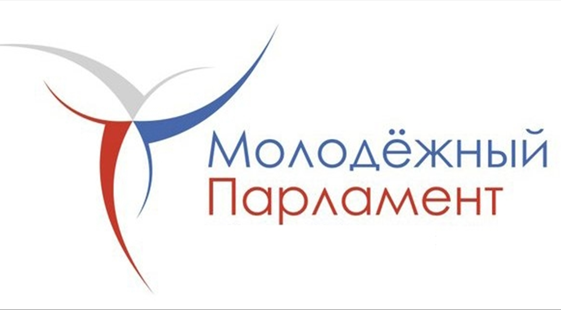 Представители МОО «МААР» вошли в состав молодежного Парламента при Совете депутатов городского округа Истра Московской области